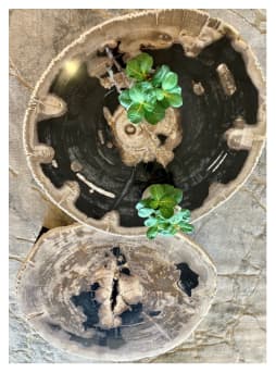 Meubles Finel - accueil - objet de decoration manche